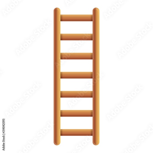 Ladder tool icon. Cartoon of ladder tool vector icon for web design isolated on white background