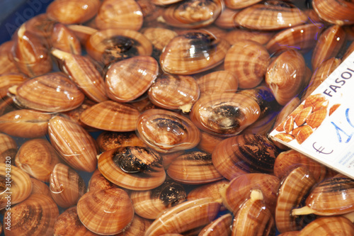Photos vario pesce di mare esposto al mercato del pesce