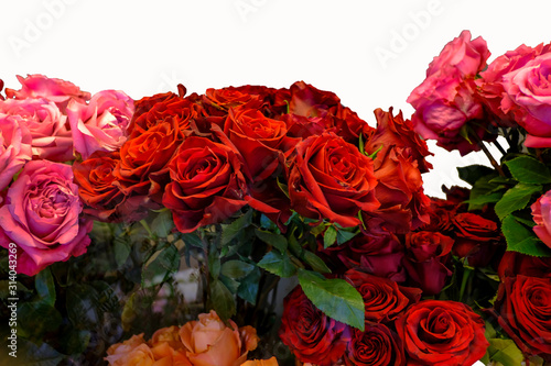 bouquet of red roses  rose on white background