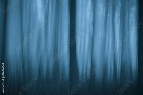 unsharp motionblur foggy forest