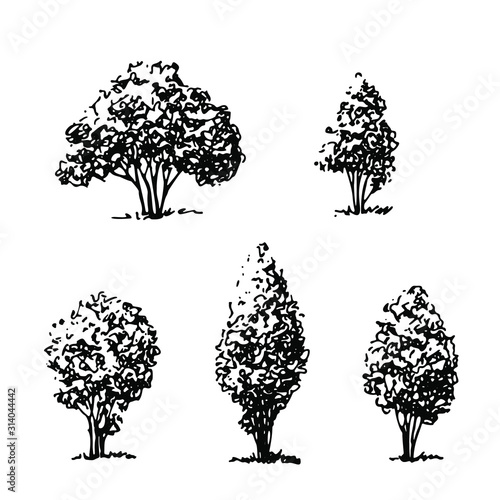 Mix of tall shrubs. Set of hand drawn sketch shrubbery, landscape elements.