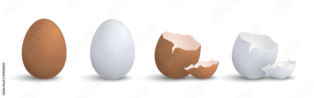 Obraz na płótnie Set of 3d realistic eggs isolated eps10 vector elements, chicken egg, cracked eg