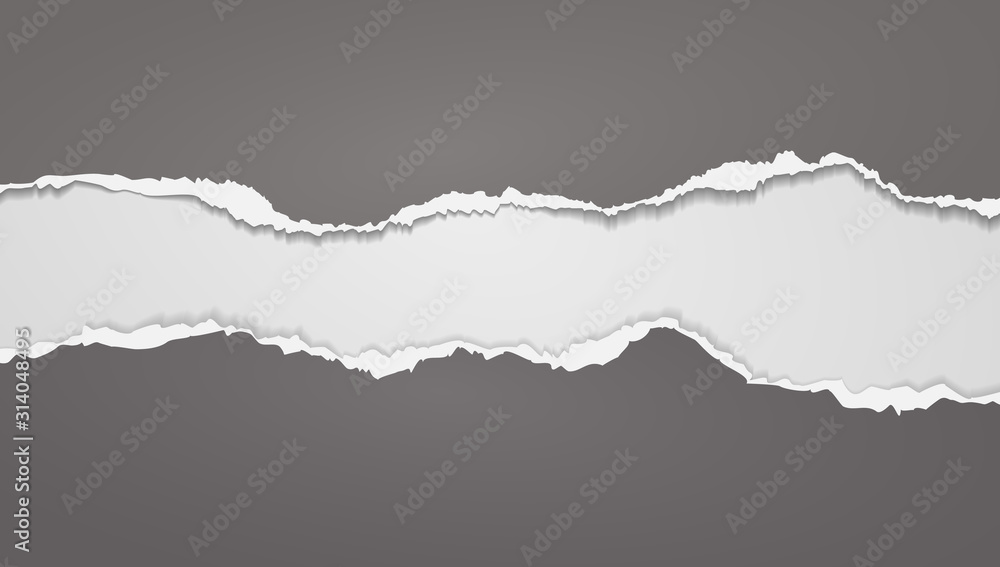 Torn, ripped pieces of horizontal dark grey paper with soft shadow are on white background for text. Vector illustration