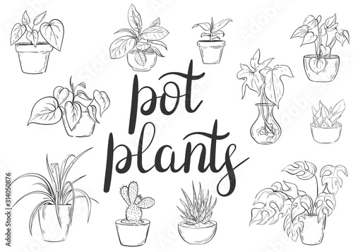 Set of plants in pots. Black stroke