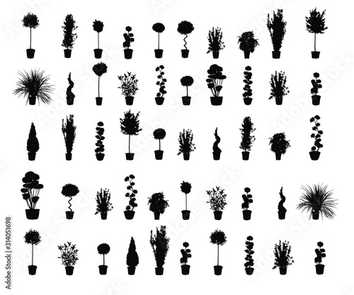 illustration ombres plantes fleurs pots 