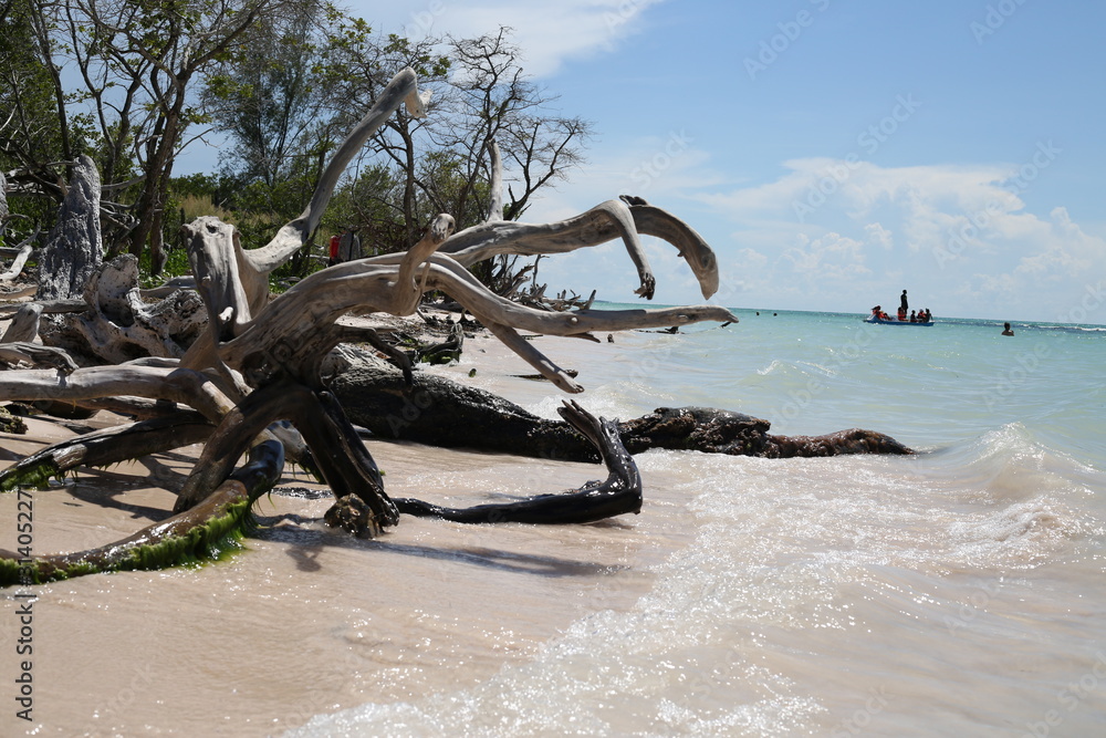 Fototapeta premium Adrift