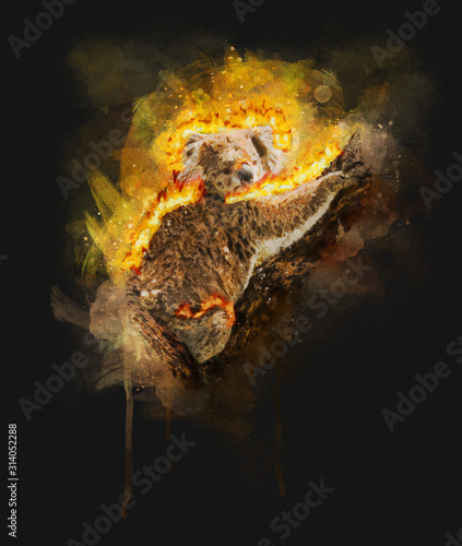Canvas Print Illustration of a Burning Koala