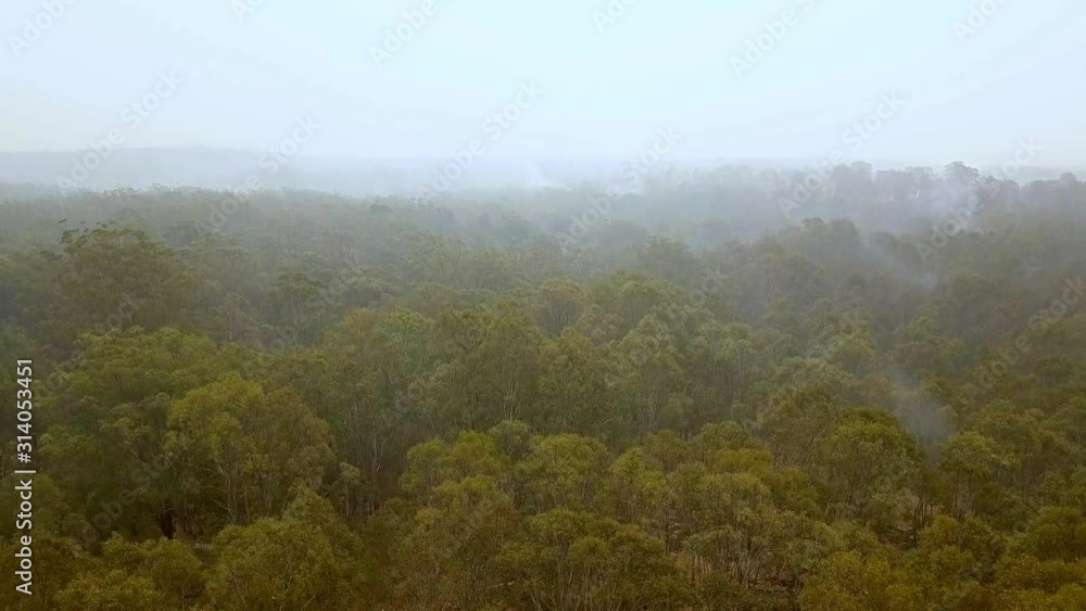 Aerial view of burning eucalyptus tree forest in Warragamba Australia with thick smoke, drone pull back reveal shot Aerial view of burning eucalyptus tree forest in Warragamba Australia with thick smoke, drone pull back reveal shot