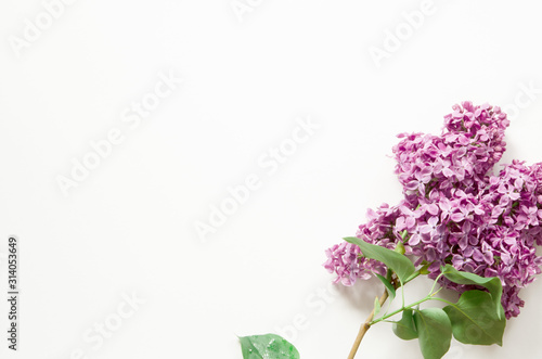 Lilac flowers on white background. Spring flowers. Top view  flat lay  copy space. - Image