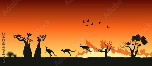 Black silhouettes of Australian animals in bushfire. Pray for Australia. Scene of forestfire with kangaroo, koala and parrots