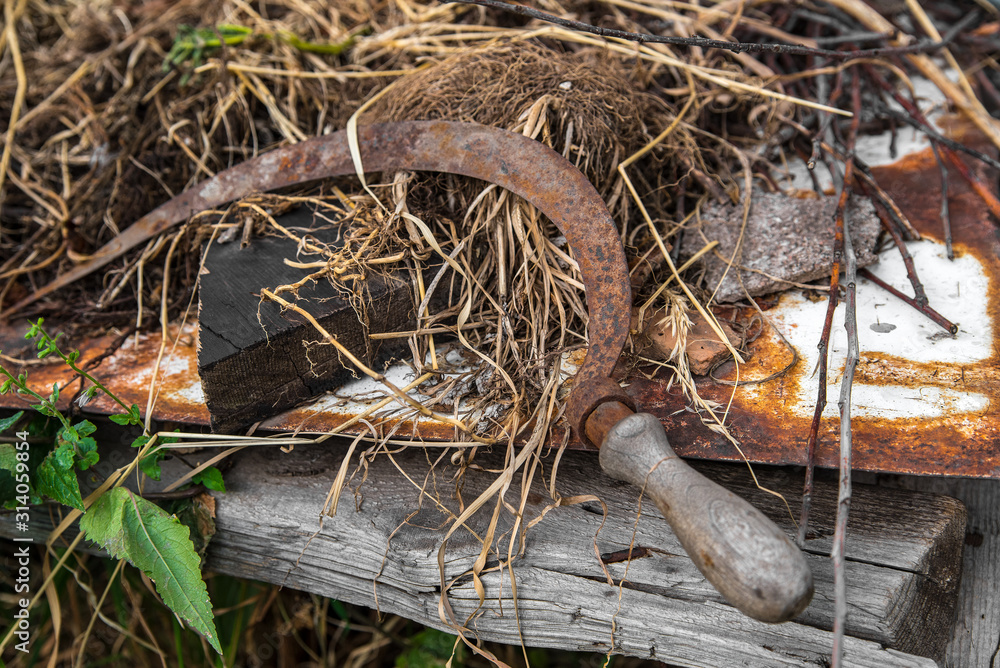 Peasant sickle for mowing grass lies on rusty iron, old grass and wooden pieces