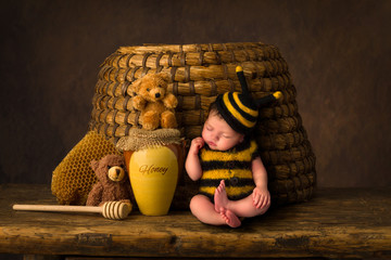 Sleepy baby bee