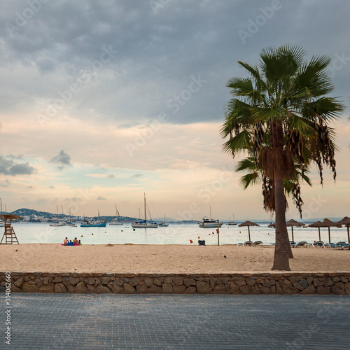 wide sandy beach on the background of the sea and large palm trees in the Spanish resort of Magaluf