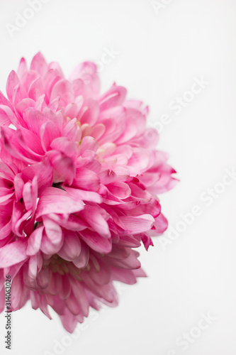 pink bouquet of flowers for March 8, birthday, Valentine's day © Aleksandra