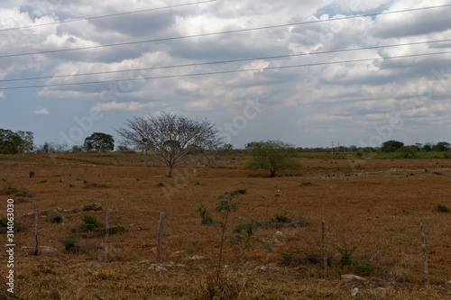 Wiejskie krajobrazy Jukatanu photo