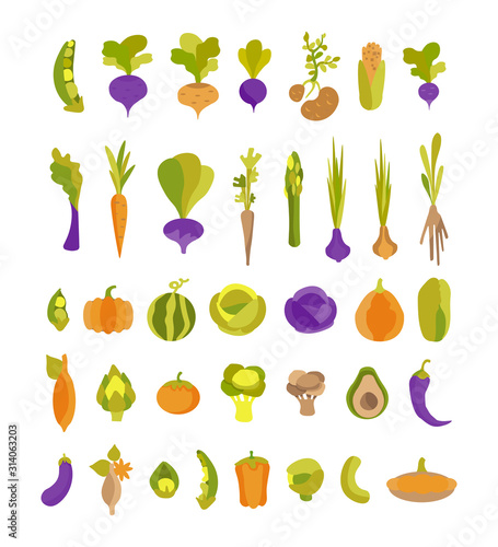 Vector collection with colorful vegetable potatoes, avocado, artichoke, sweet potato and others. Set of 37 illustrations for vegan, gardener, restaurant, greengrocer, print.