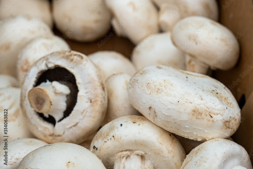 Organic big champignon mushrooms sold at local market