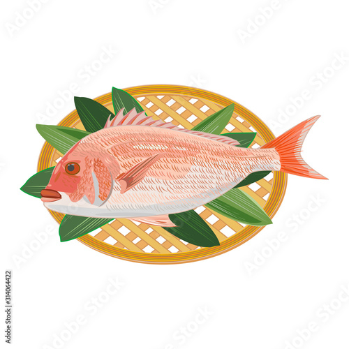 Red snapper 