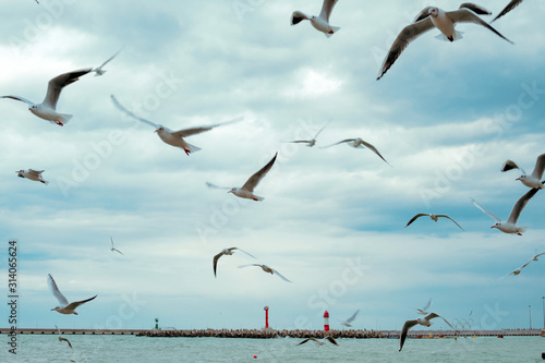 Photography a lot of gulls on the background of cloudy sky and the lighthouse