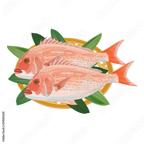 Red snapper 