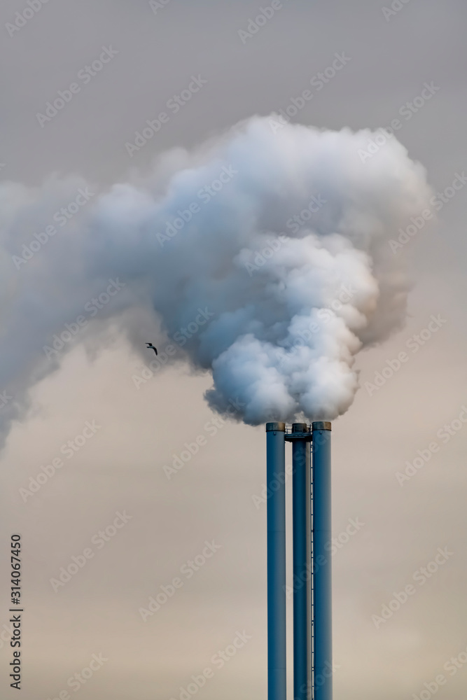 Kamin Möwe Vogel Abgase Rauch Qualm Dampf Schornstein CO2 Kohlendioxid  Erwärmung Klimawandel Umweltschutz Verschmutzung Ausstoss rauchen qualmen  Kraftwerk Hamburg Hafen Stock Photo | Adobe Stock