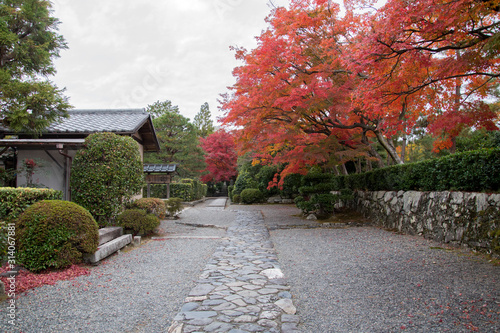 Beautiful zen garden in Tenryuji temple in Arashiyama, Kyoto, Japan