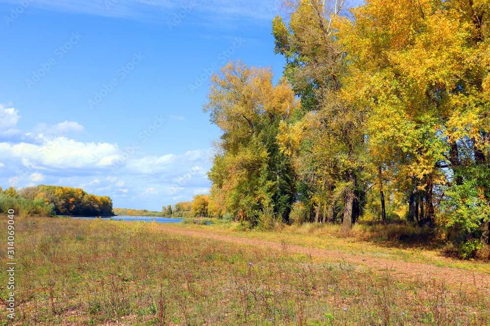 Autumn landscape in forest Autumn landscape in forest