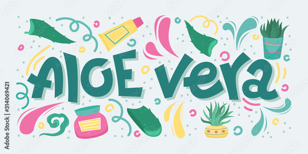 Creative vector illustration with lettering - Aloe Vera. Home medicinal plants. Creative vector illustration with lettering - Aloe Vera. Home medicinal plants.