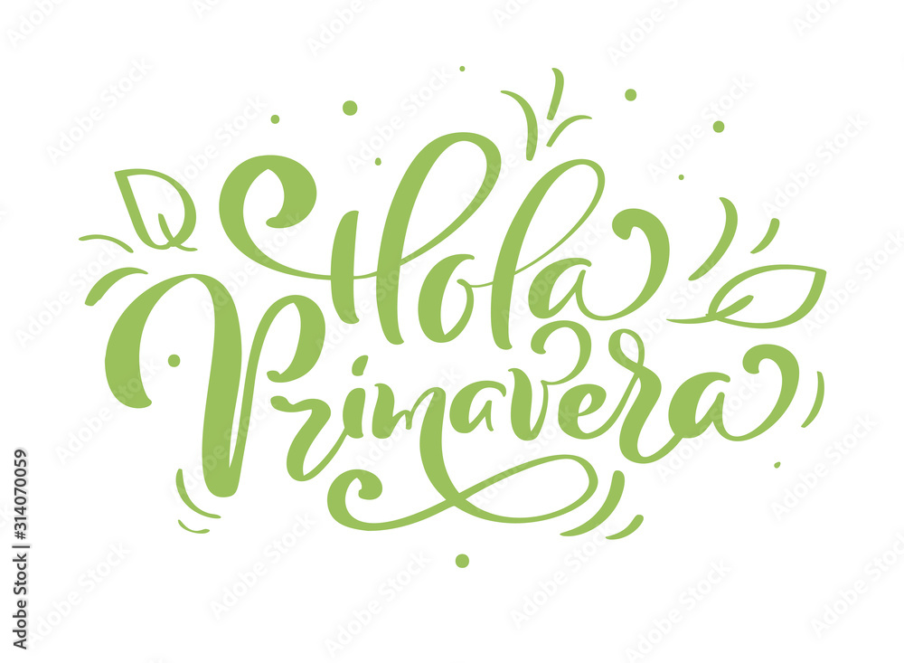 Hand drawn lettering Hola primavera in Spanish. Hello Spring vector illustration. Spring green leaves and grass greeting card with calligraphy Hand drawn lettering Hola primavera in Spanish. Hello Spring vector illustration. Spring green leaves and grass greeting card with calligraphy