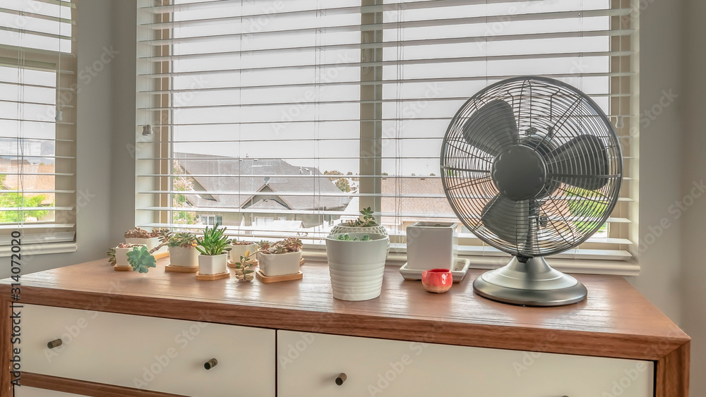 Pano Potted cacti and electric fan on wooden cabinet against bay window of a home