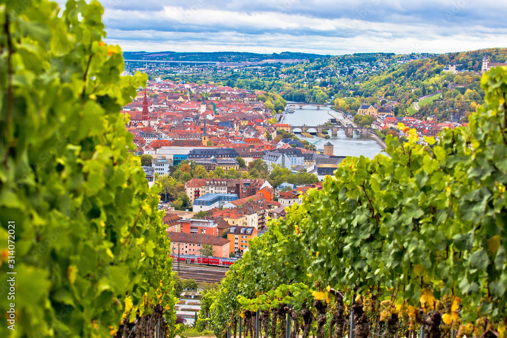 Old town of Wurzburg view from the vineyard hill - obrazy, fototapety, plakaty 