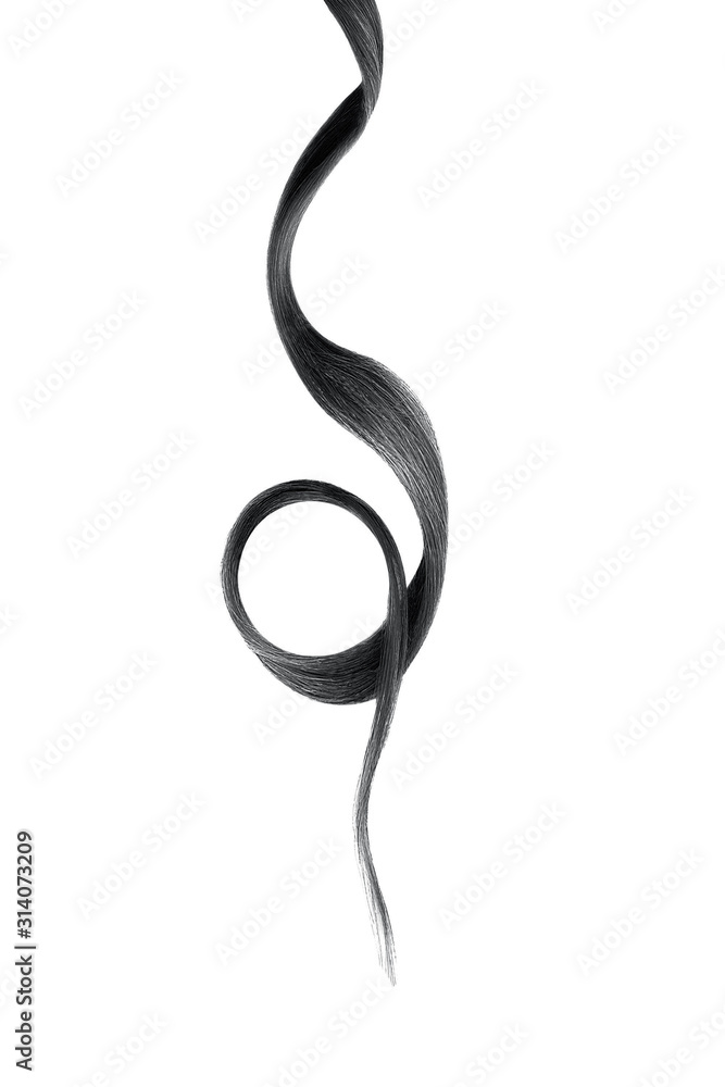 Black hair on white background, isolated. Thin curly thread Black hair on white background, isolated. Thin curly thread