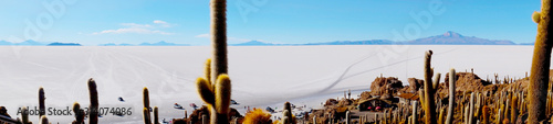 Cactus island view in Bolivia Uyuni salt desert