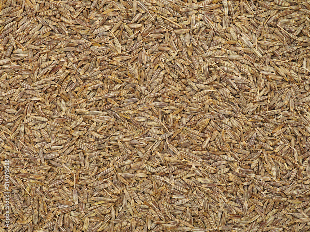 Cumin seeds texture, full frame background. Second most popular spice in the world after black pepper. Cumin seeds texture, full frame background. Second most popular spice in the world after black pepper.