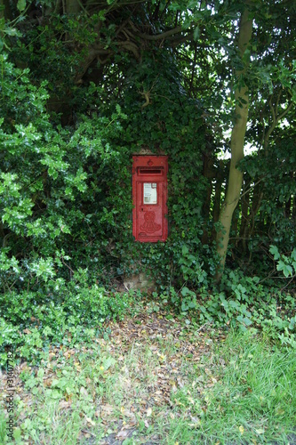 Post box on ivy covered wall