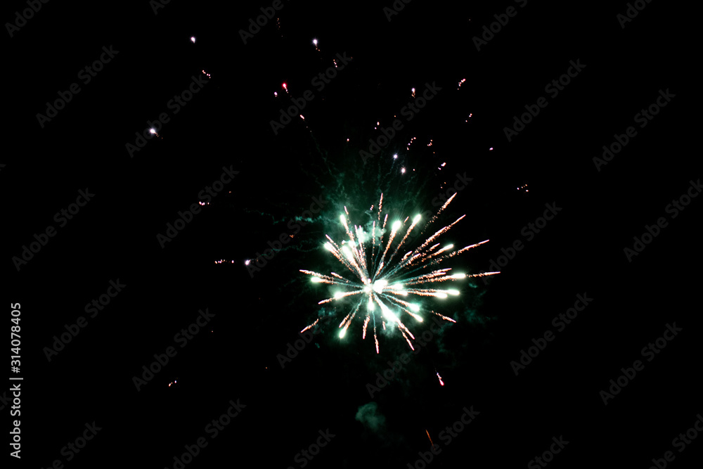 Obraz premium fireworks in the night sky