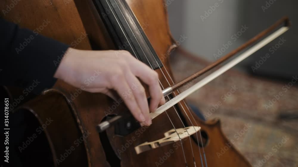 Musician Close Up View Of Bow On The Strings Of Cello Musician Close Up View Of Bow On The Strings Of Cello
