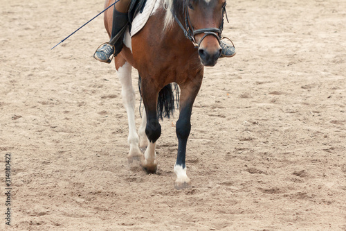 Learning Horseback Riding. Instructor teaches teen Equestrian.