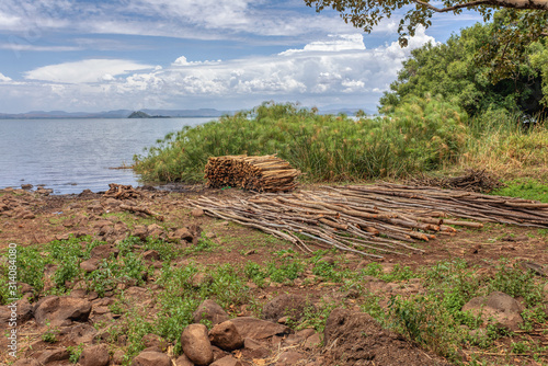 Wood ready for transport on shore of Lake Tana in Ethiopia, Zege Peninsula. Beautiful landscape, Zege Peninsula. Bahir Dar city, Ethiopia photo