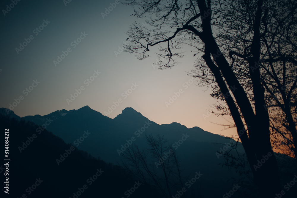 Silhouette of a mountain range and tree at sunset