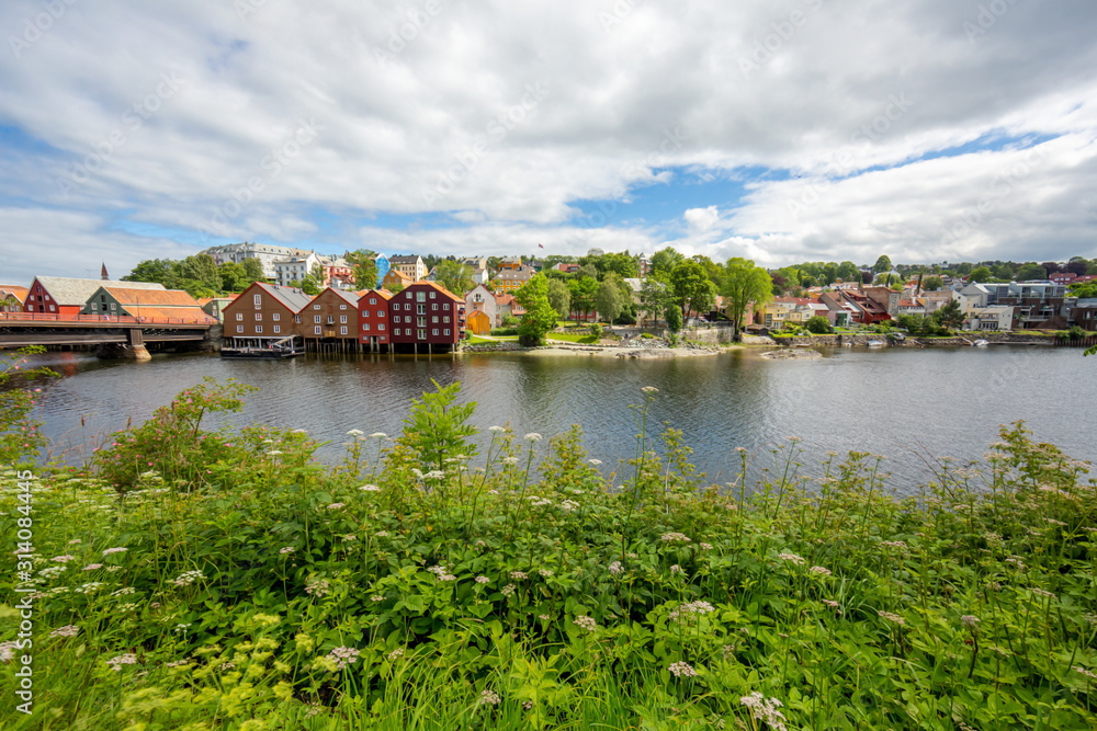 View from Nidaros Domkirke park to the colorful houses of the Tronheim old city in summer