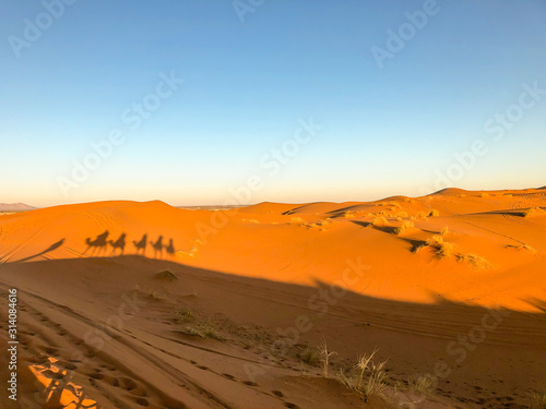 Images of an amazing excursion in the Sahara desert, Merzouga, Morocco