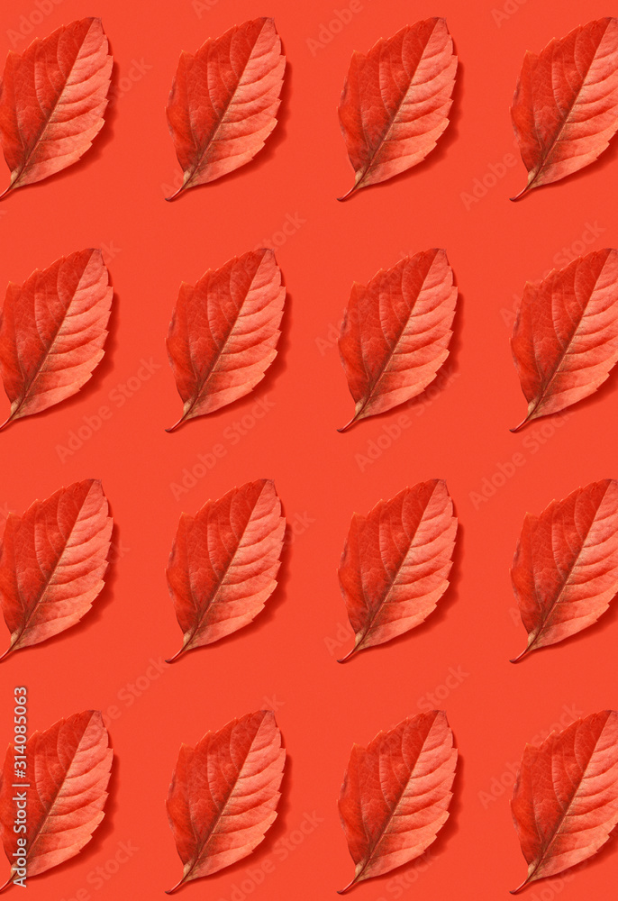Red autumn leaves pattern on a coral background.