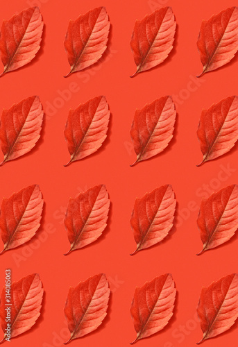 Red autumn leaves pattern on a coral background.