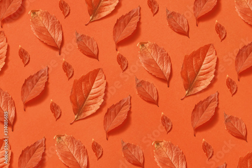 Autumn handmade natural leaves pattern.