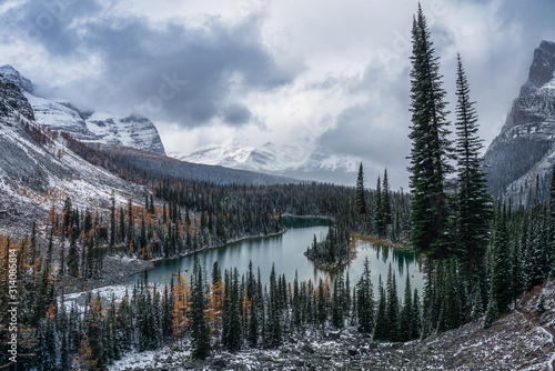 Opabin Plateau with Canadian rockies and lake in blizzard at Yoho national park photo