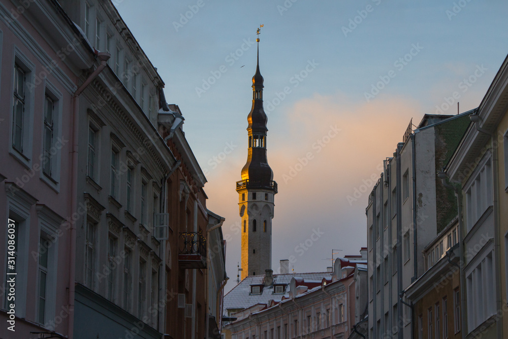 Obraz premium View of the Town Hall tower in Tallinn's Old Town in winter at sunset. Estonia