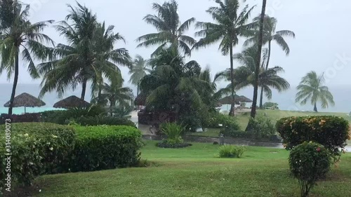 南国タヒチのスコール
