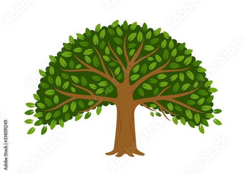 Tree isolated on white background. Vector illustration