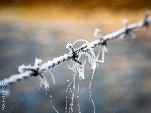 Winter wire